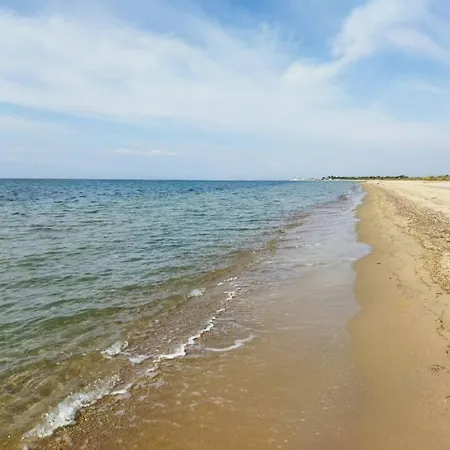 Do Nothing Land Saloniki