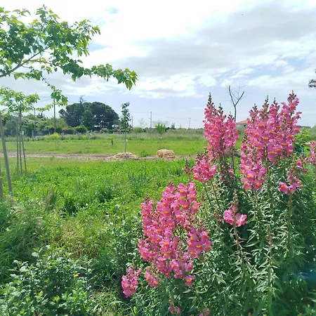 Do Nothing Land Saloniki