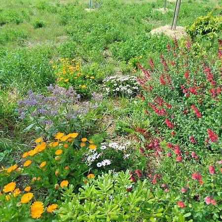 Dom wakacyjny Do Nothing Land