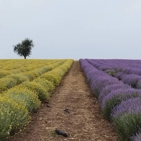 Do Nothing Land Σπίτι διακοπών