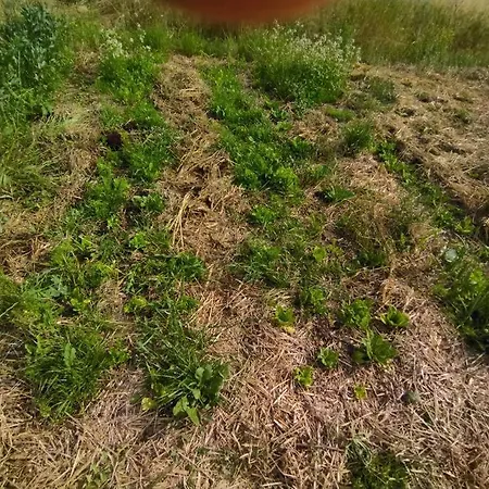 Do Nothing Land
