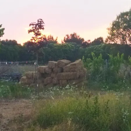 Do Nothing Land Σπίτι διακοπών