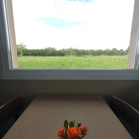 Do Nothing Land *