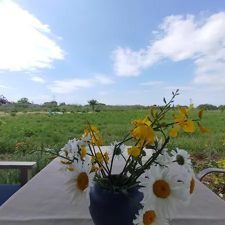 Casa vacanze Do Nothing Land