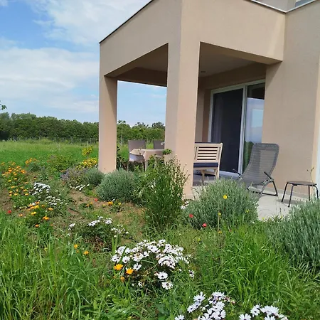 Do Nothing Land * Szaloniki