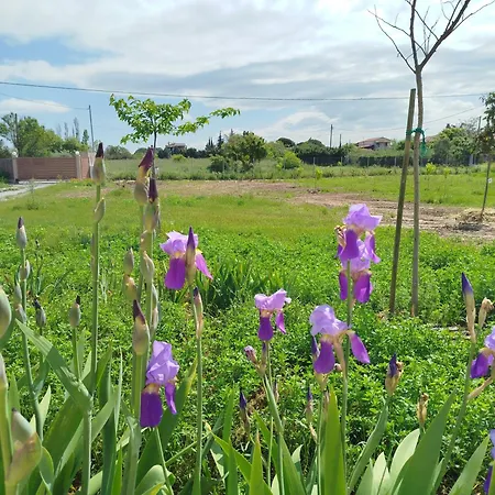 Do Nothing Land Nyaraló
