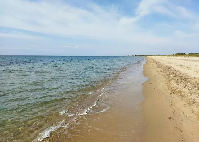 Do Nothing Land Salonic