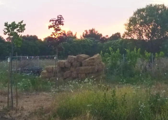 Do Nothing Land בית נופש