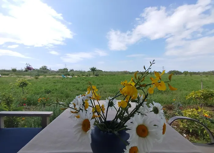 Case de vacanță Do Nothing Land