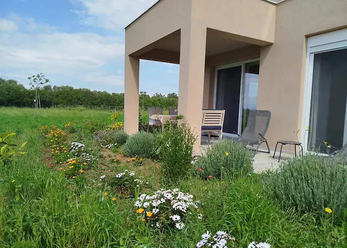 Do Nothing Land * Salonic