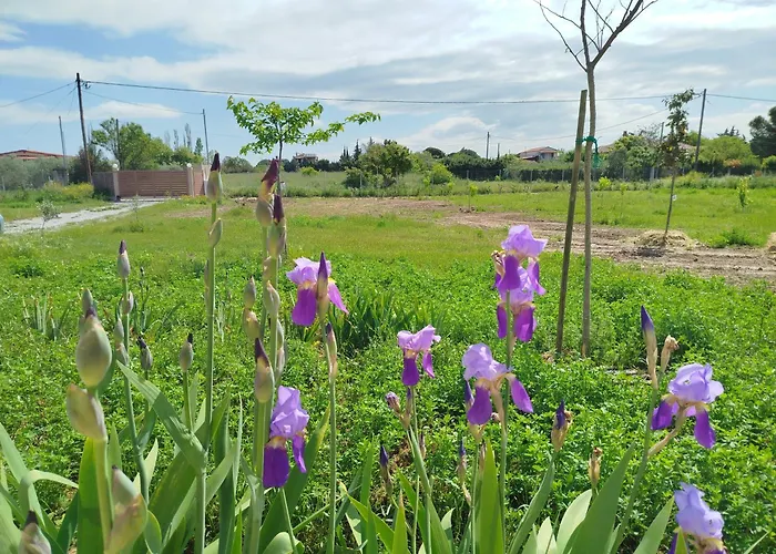 Do Nothing Land Case de vacanță