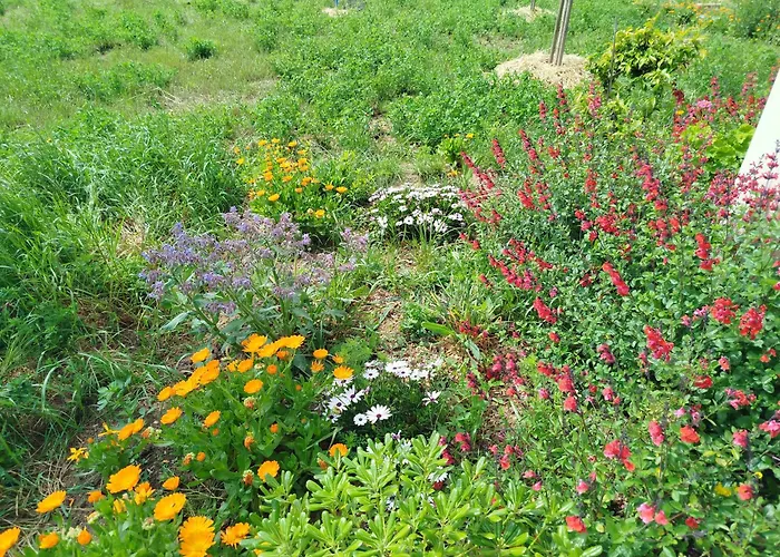 בית נופש Do Nothing Land