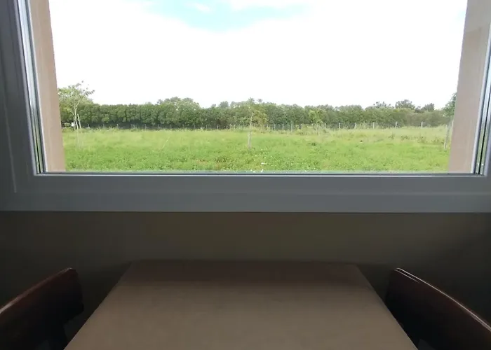 Do Nothing Land *